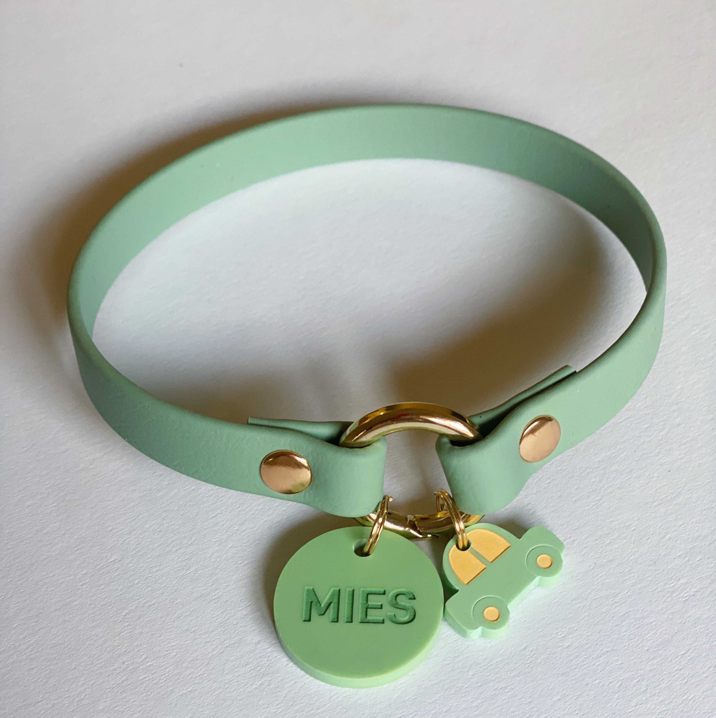 Home Collar Biothane