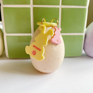 Chapa Conejo pascua