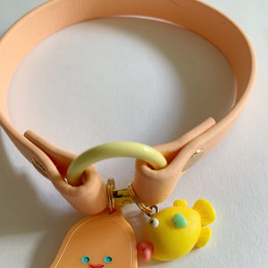 Home Collar Biothane