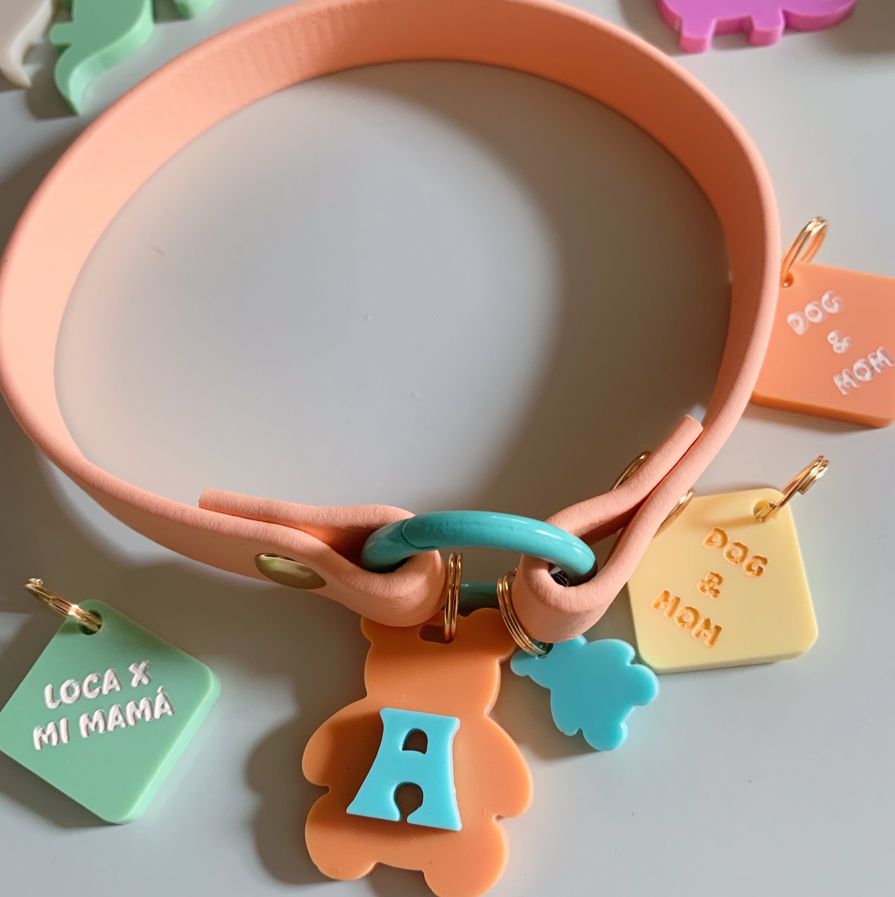 Home Collar Biothane