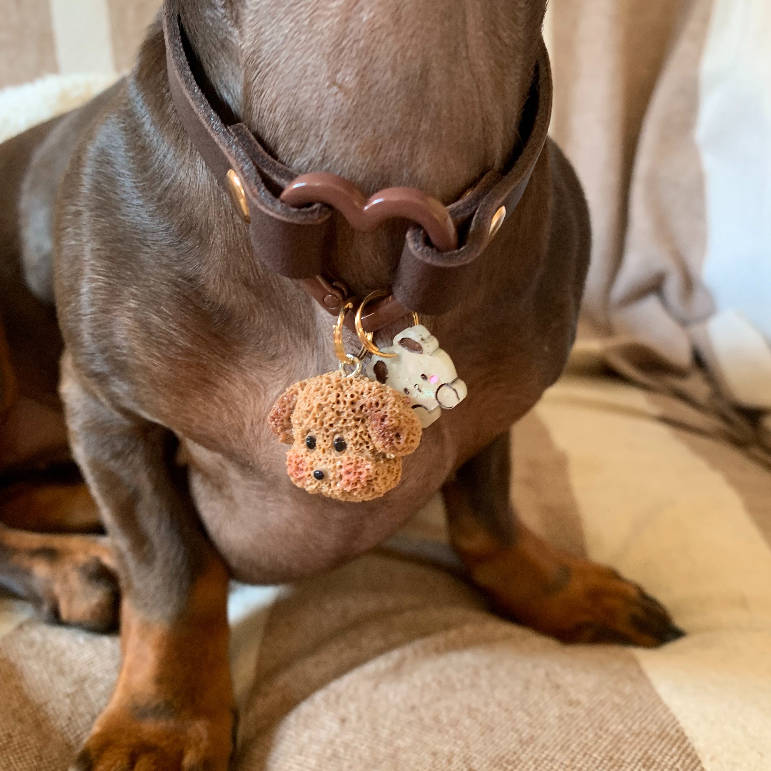Pack Home collar piel con charms
