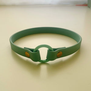 Home Collar Biothane