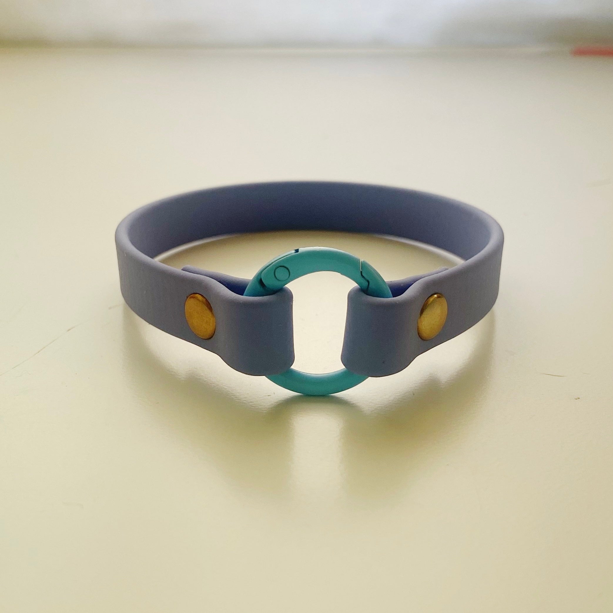 Home Collar Biothane