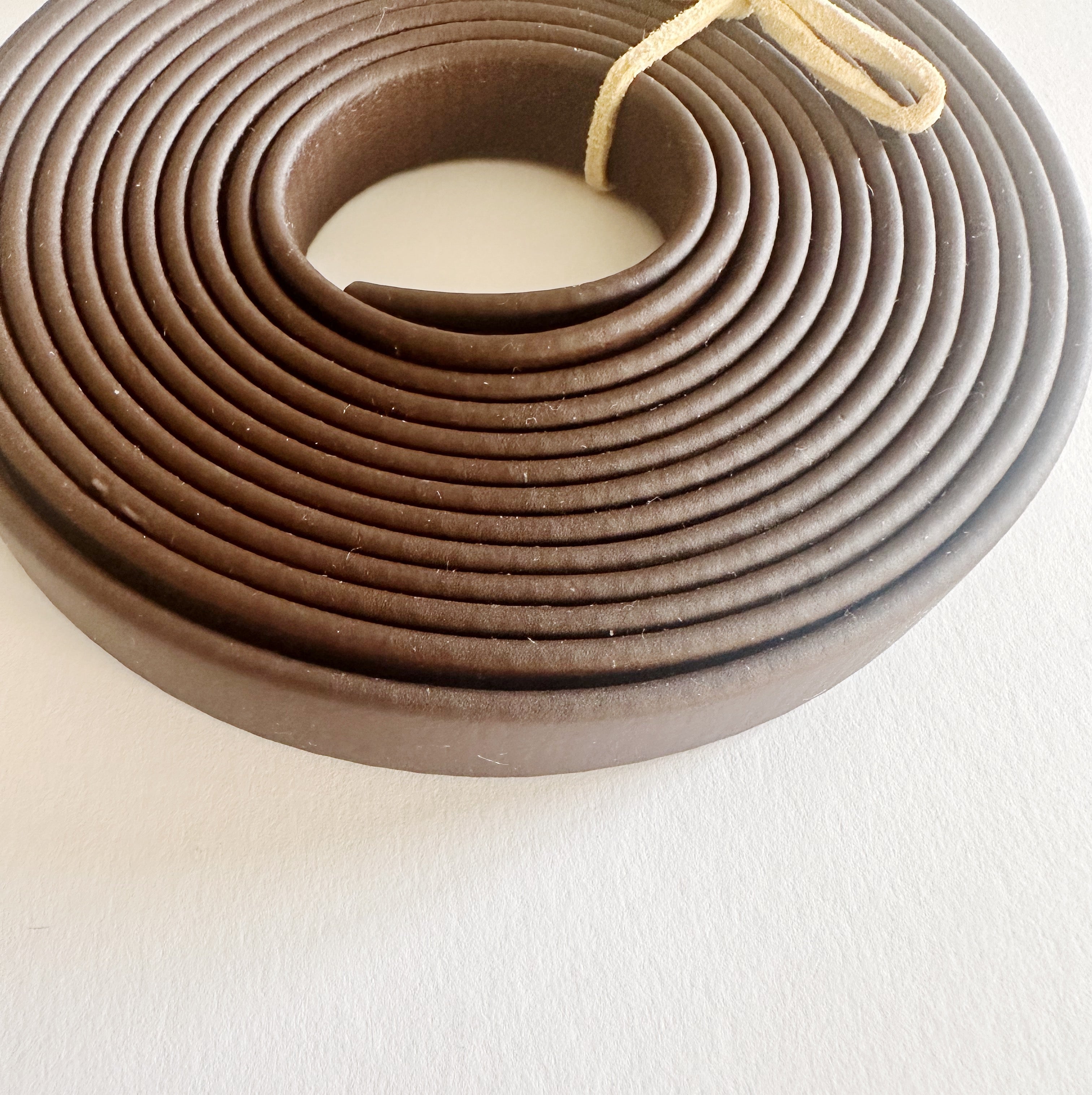 Home Collar Biothane